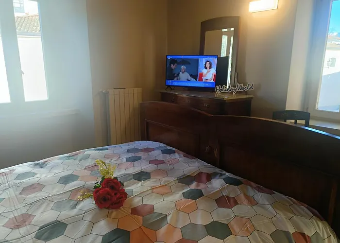 Il Guscio Di Legno By World *